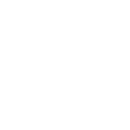 eletrica